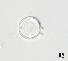 BESTA_Tomas_-_obr_2-Cyclotella_gamma