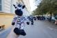Zebra_11