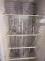 Forenzni_potencial_larev_brouku_Silphidae_-_obr_11.jpg